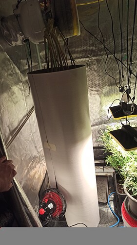 ac1297ad-fed0-482c-bab6-28d013b3093b-1_all_57205