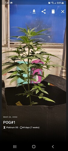 Screenshot_20220322-194738_Jane