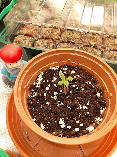 17756565253654777189758273929138