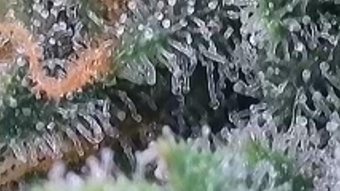 2025-06-02-190721589