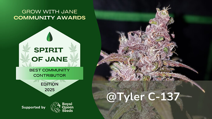 GWJ Community Awards 2025 - Spirit of Jane Winner