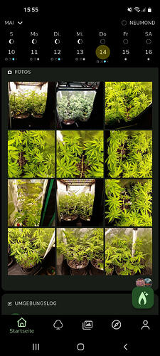 Screenshot_20260514-155556_Jane