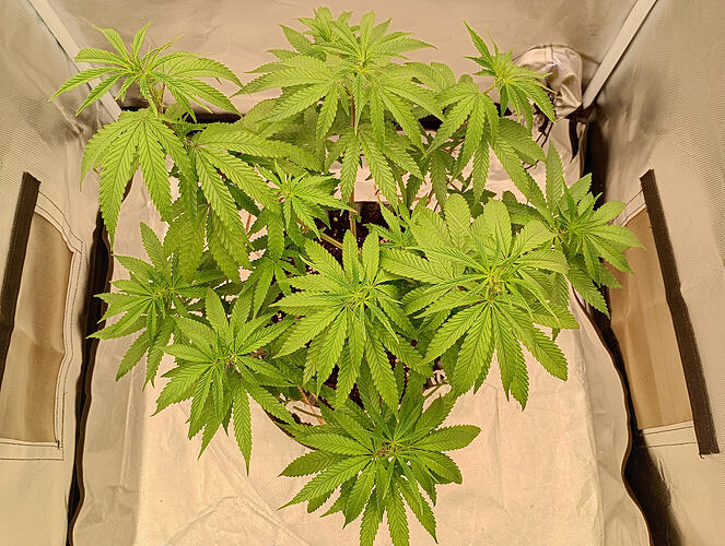 IMG_20260913_192226622_HDR