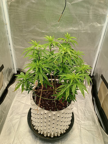 IMG_20260918_203310497_HDR