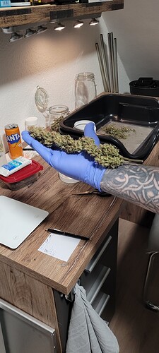 Tag 105 , 20,15 Uhr und nun sind sie in der Aushärtung