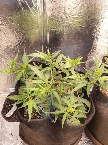 1666984670248945701526168857842