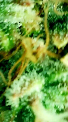 2024_05_28_17_35_40_537_exported_50160