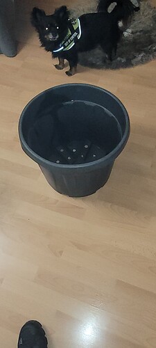 20231115_180238
