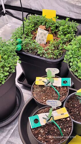 Tag 10 Umgebung klein Kind Station 14.12.25