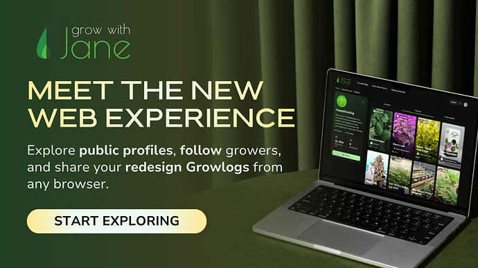Meet the new web experience