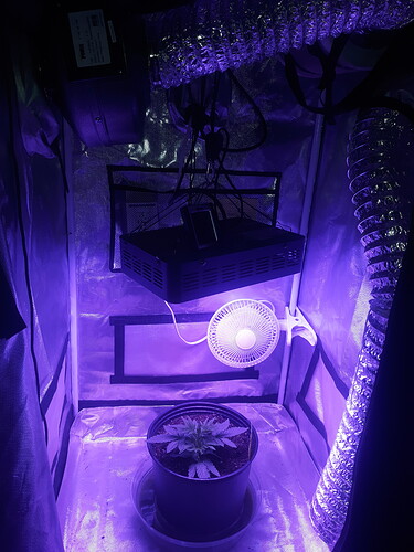 16621360457884787432524309546774