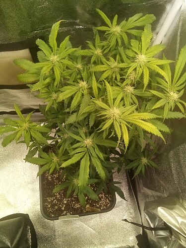 IMG_20240923_133813_635