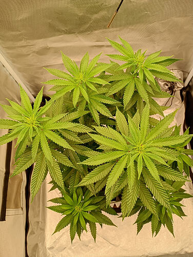 IMG_20260918_203628092_HDR