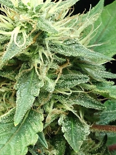 IMG_20220223_152244167