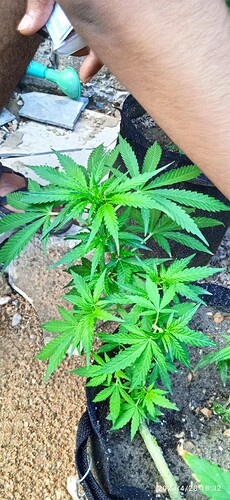 IMG_20230428_183222