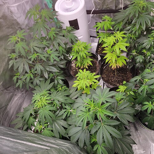 16797019065298326005631489758025