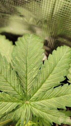 IMG_20231114_114631648