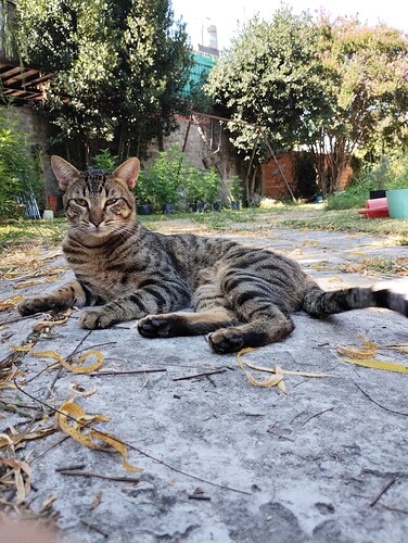 IMG_20260128_102645609