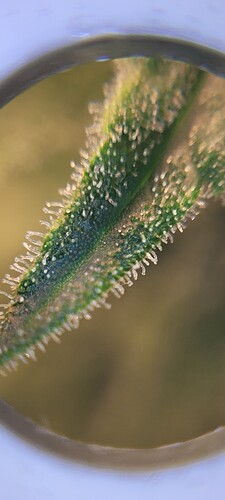 20230824_093335