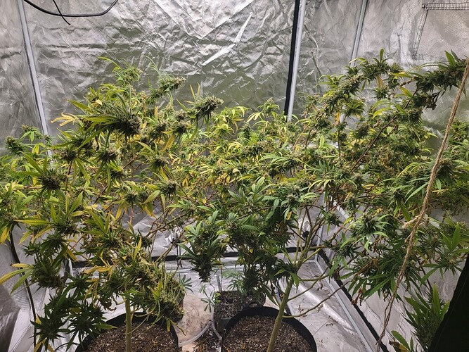 Resized_20220720_191206