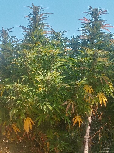 20230923_105537_HDR
