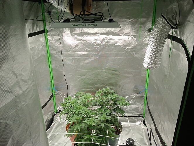 c88a5a7f-ad8a-479c-8dba-e3757d4efc16-1_all_2651