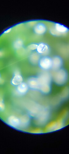 20230905_155037