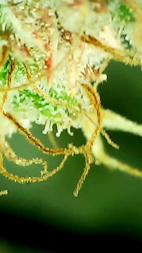 2024_05_28_17_41_38_737_exported_70360