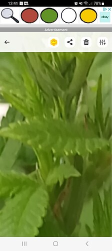 Screenshot_20230921_134149_Magnifier