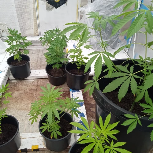 IMG_20230604_230918_179