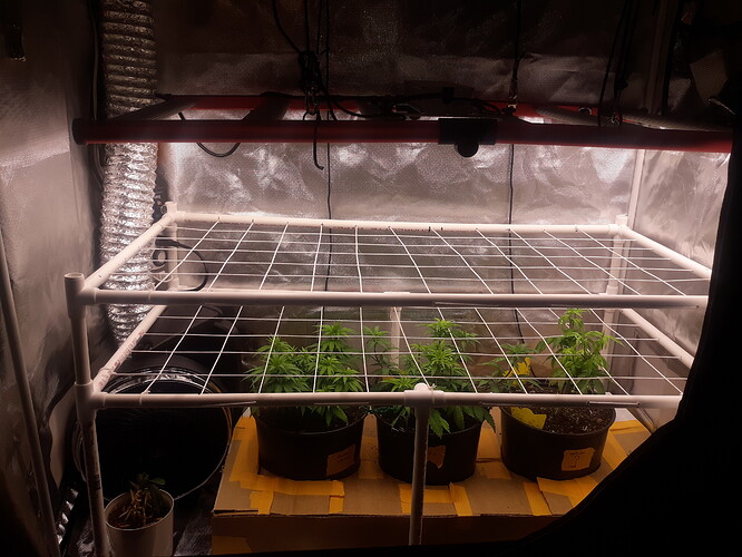 16614410956976264987139585704970