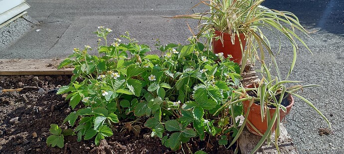 IMG_20250501_171711_HDR