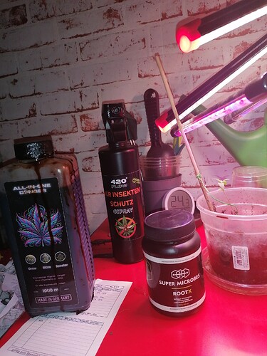 17663509928554665994602758947298