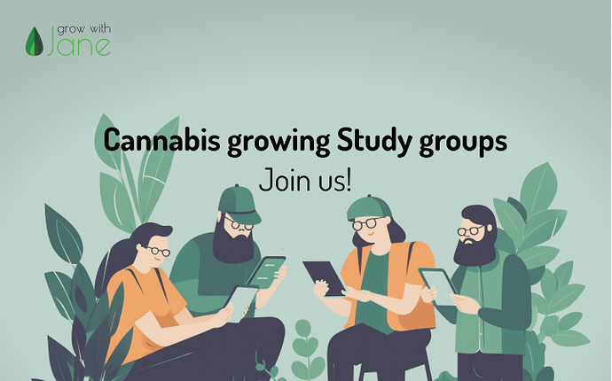 cannabis_study_groups