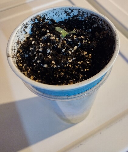 IMG_20250112_211222891_HDR