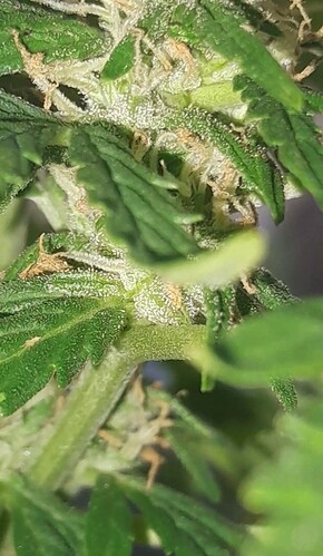 Screenshot_20230104-195841_Video Player