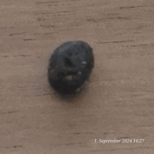 Tag 105 , heute ein wenig Fingerhash vom feinsten 1.9.24