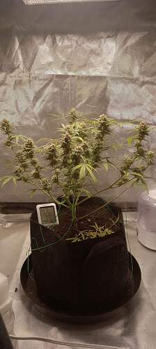 received_548350260165395