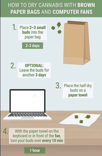 Web capture_2-6-2022_195932_www.royalqueenseeds.com