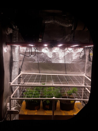 16621361175813103288158141091053