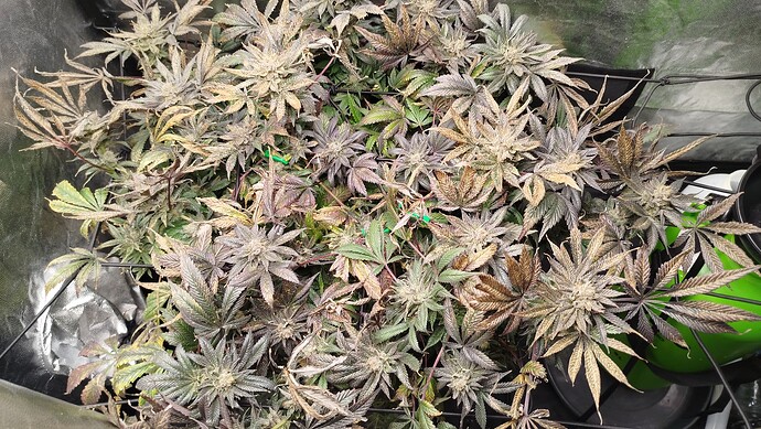 47ab9e33-87c9-420b-a132-a92102ffe98c-1_all_20325