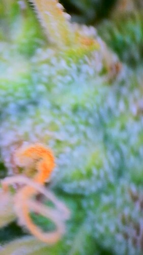 2022_08_10_15_33_33_492