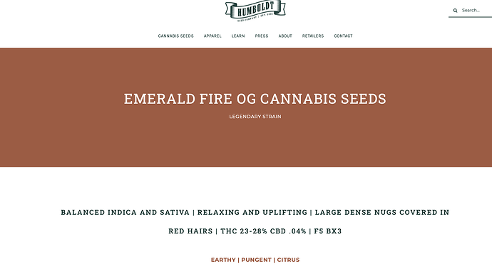 Screenshot 2024-01-03 at 9.37.35 am