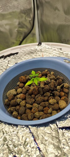 IMG_20230315_172056