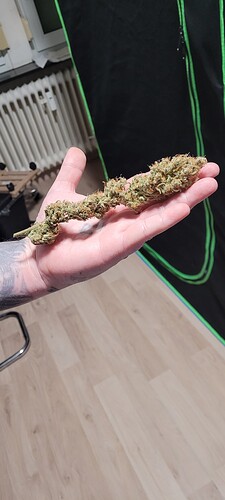 Tag 102 , bisher einer der schönsten Buds