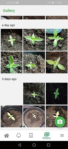 Screenshot_20220713_194350_com.unlogical.jane