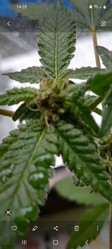 Screenshot_20250602-142850_Gallery