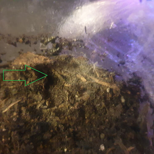 20260429_180547