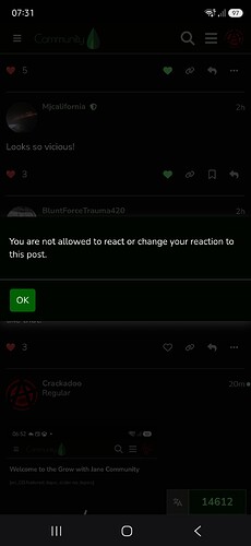 Screenshot_20260821_073102_Samsung Browser