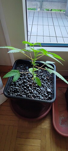 IMG_20230513_194506